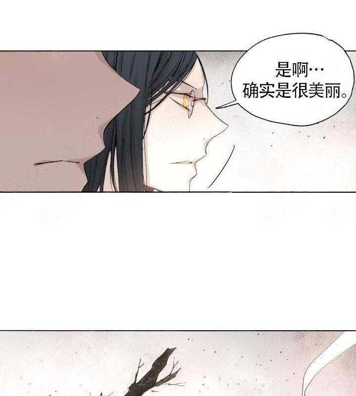 《巫师与狼（全集）》漫画最新章节第51话_世界免费下拉式在线观看章节第【15】张图片