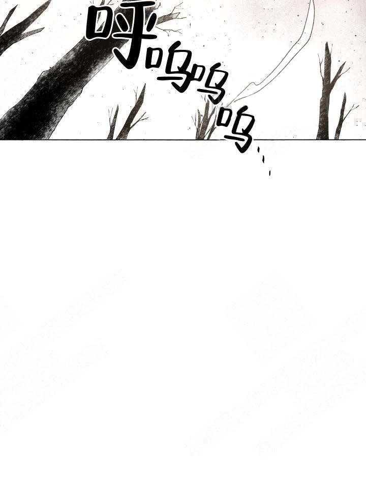 《巫师与狼（全集）》漫画最新章节第51话_世界免费下拉式在线观看章节第【14】张图片