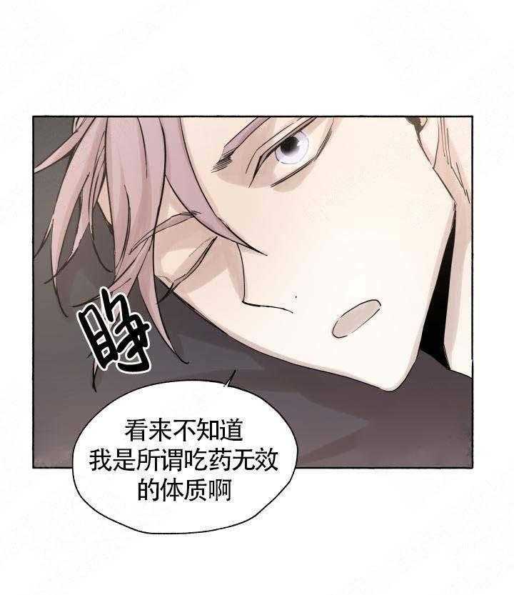 《巫师与狼（全集）》漫画最新章节第53话_联系免费下拉式在线观看章节第【15】张图片