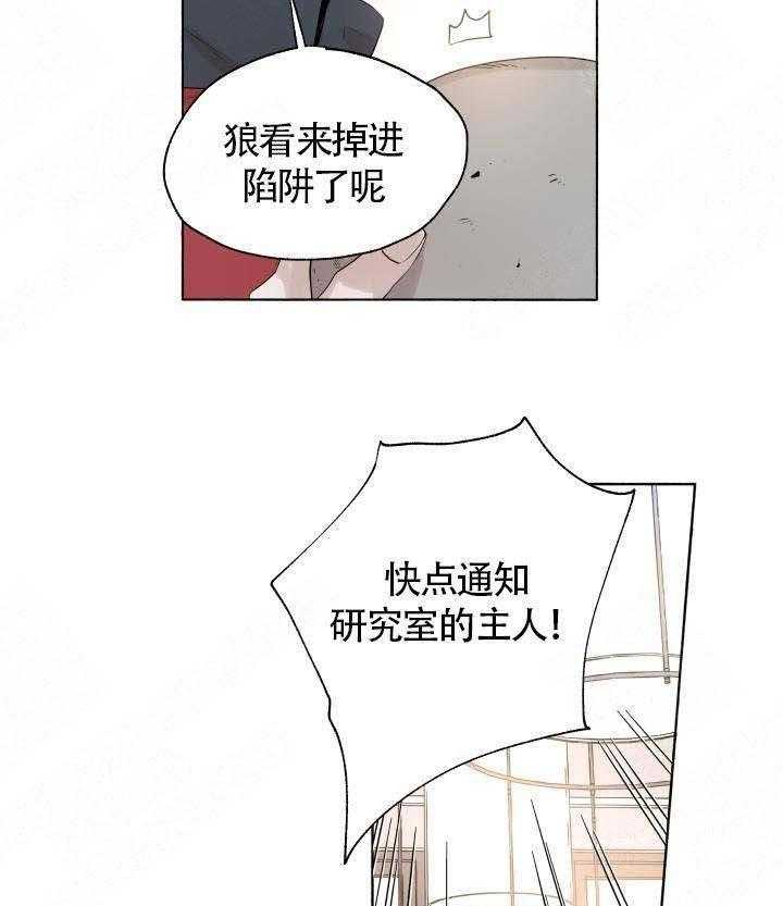 《巫师与狼（全集）》漫画最新章节第54话_诱导免费下拉式在线观看章节第【21】张图片