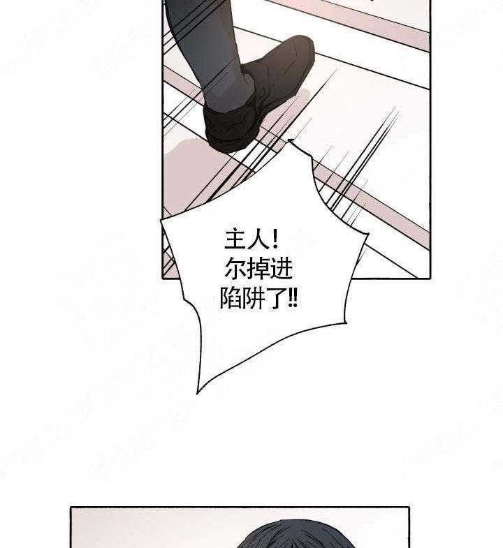 《巫师与狼（全集）》漫画最新章节第55话_发现免费下拉式在线观看章节第【38】张图片