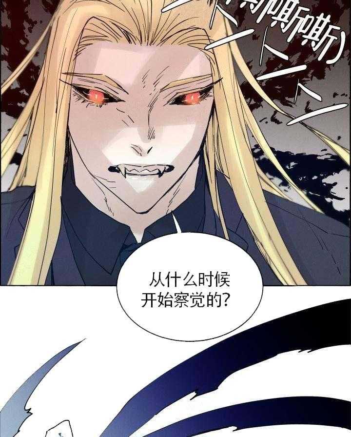 《巫师与狼（全集）》漫画最新章节第62话_都是陷阱免费下拉式在线观看章节第【12】张图片