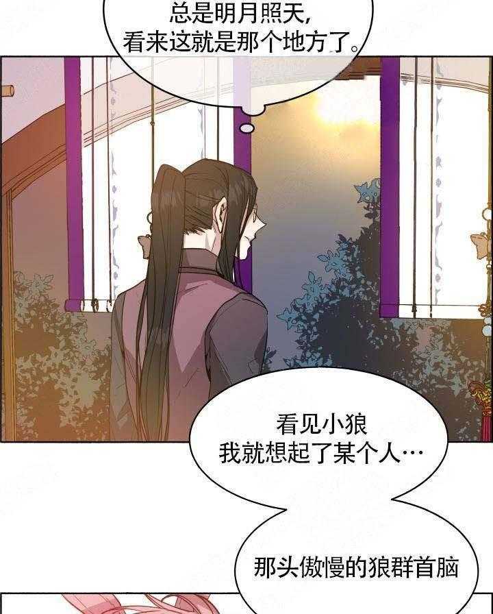 《巫师与狼（全集）》漫画最新章节第68话_我不需要免费下拉式在线观看章节第【19】张图片