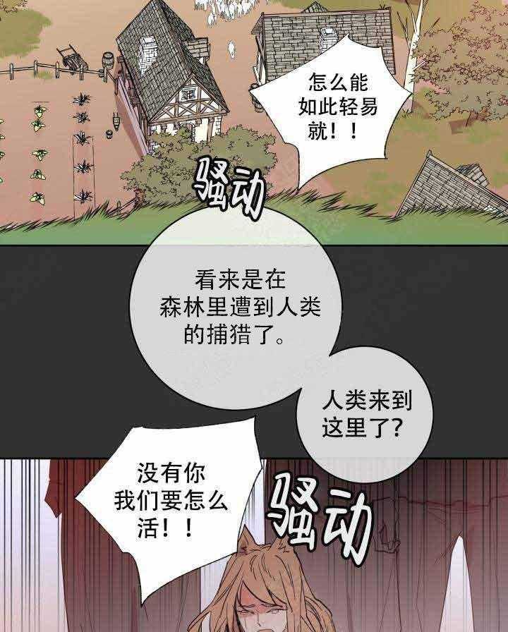 《巫师与狼（全集）》漫画最新章节第104话_只有你免费下拉式在线观看章节第【17】张图片