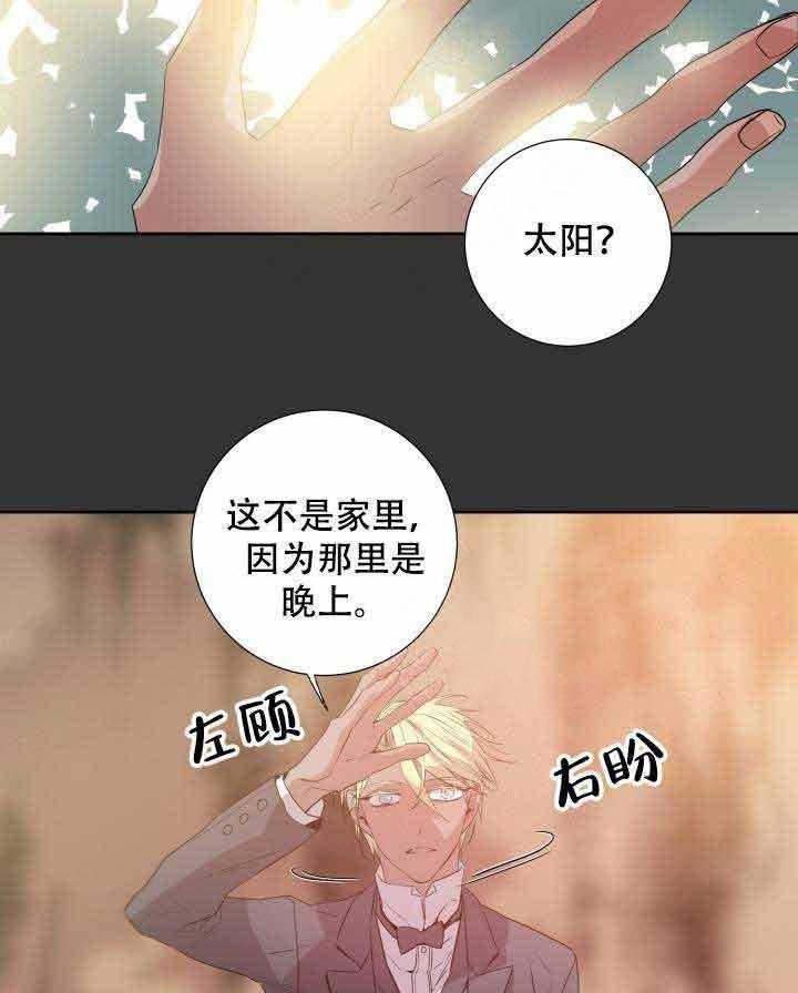 《巫师与狼（全集）》漫画最新章节第104话_只有你免费下拉式在线观看章节第【22】张图片