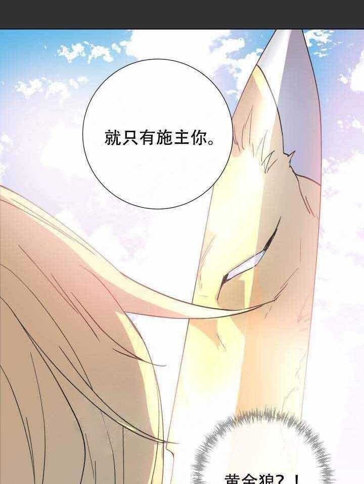 《巫师与狼（全集）》漫画最新章节第104话_只有你免费下拉式在线观看章节第【2】张图片