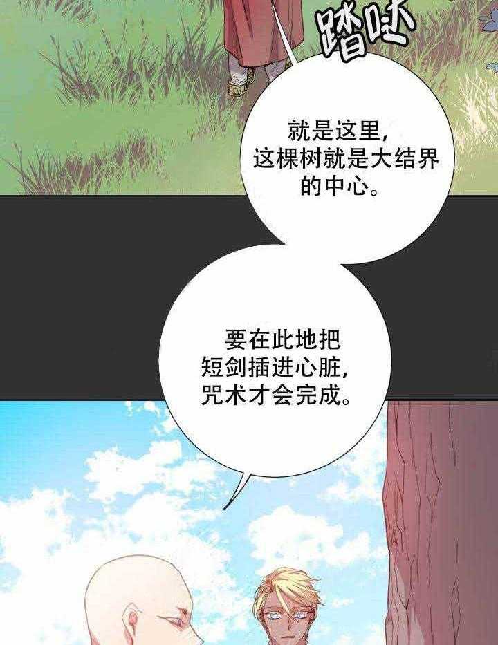 《巫师与狼（全集）》漫画最新章节第105话_咒术免费下拉式在线观看章节第【26】张图片