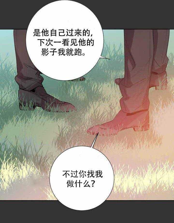 《巫师与狼（全集）》漫画最新章节第105话_咒术免费下拉式在线观看章节第【10】张图片