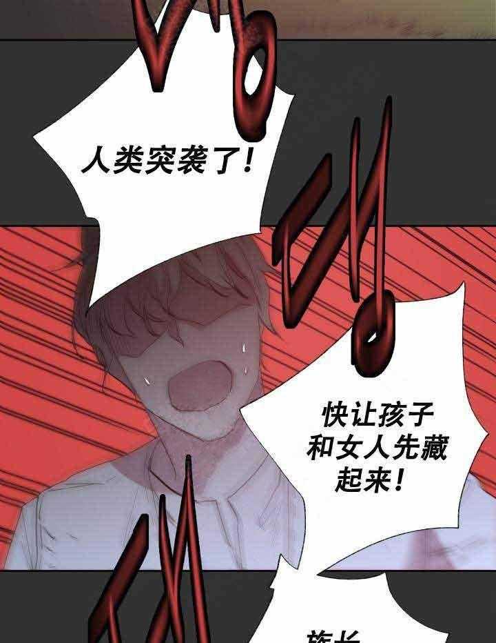 《巫师与狼（全集）》漫画最新章节第106话_突袭免费下拉式在线观看章节第【27】张图片