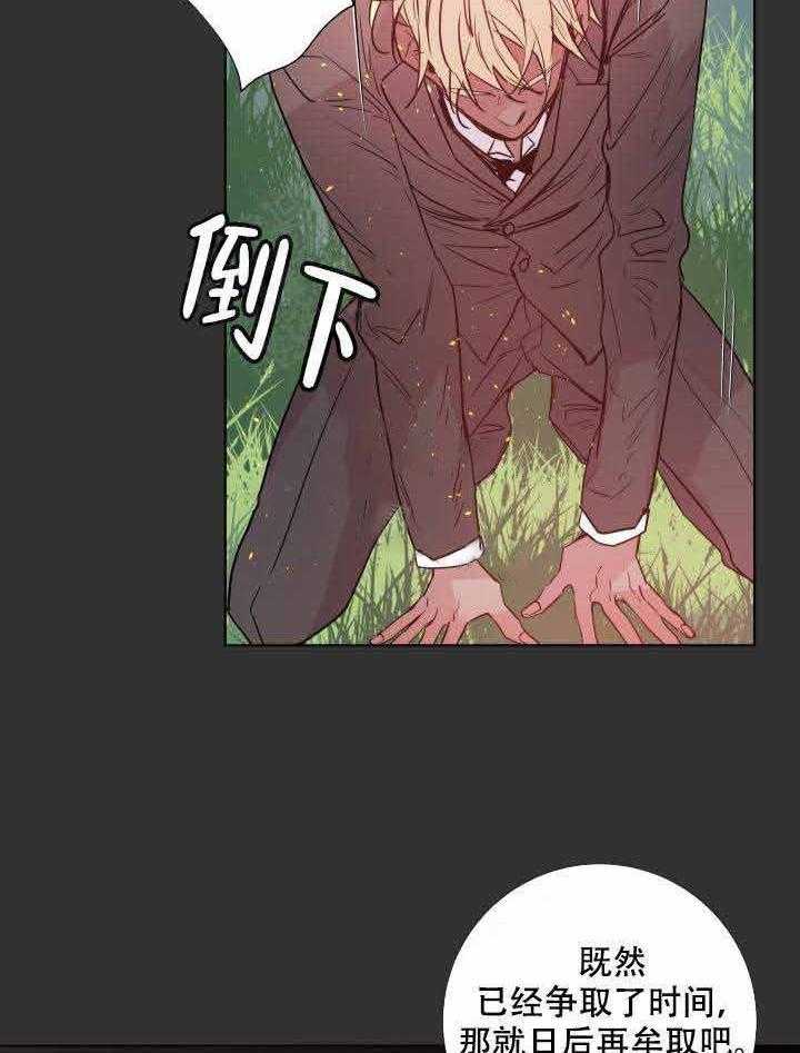 《巫师与狼（全集）》漫画最新章节第110话_对不起免费下拉式在线观看章节第【8】张图片