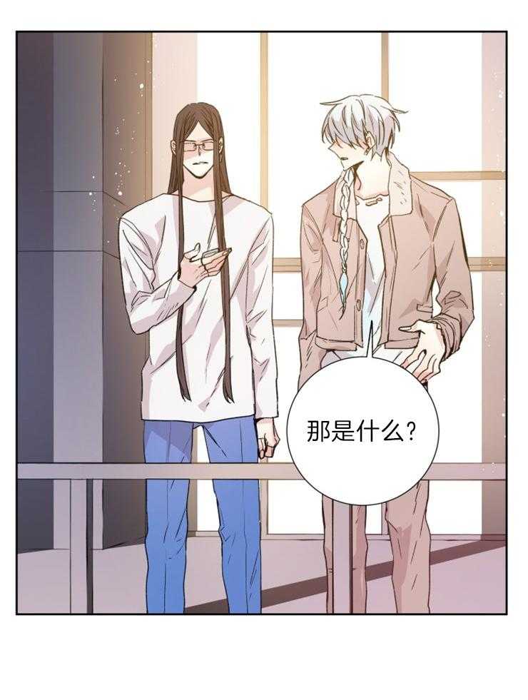 《巫师与狼（全集）》漫画最新章节第114话_母亲免费下拉式在线观看章节第【9】张图片