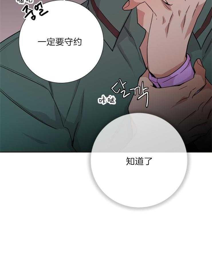 《巫师与狼（全集）》漫画最新章节第116话_献祭免费下拉式在线观看章节第【20】张图片