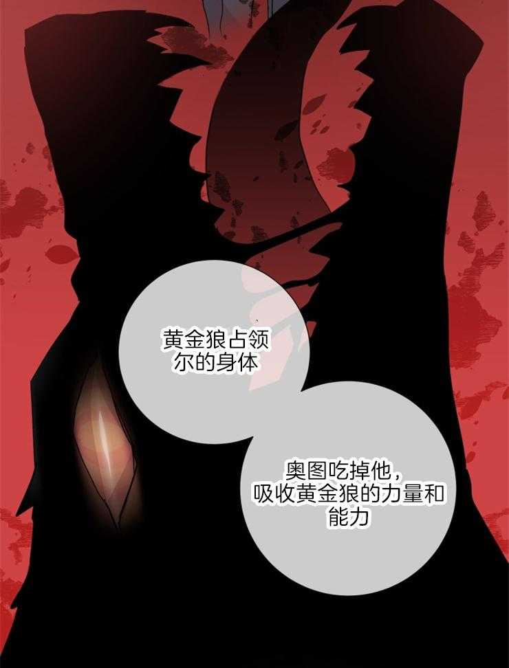 《巫师与狼（全集）》漫画最新章节第116话_献祭免费下拉式在线观看章节第【12】张图片