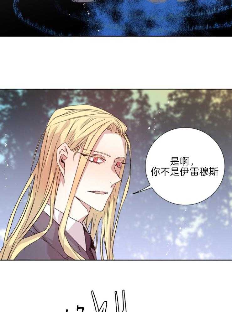 《巫师与狼（全集）》漫画最新章节第117话_你被骗了免费下拉式在线观看章节第【11】张图片