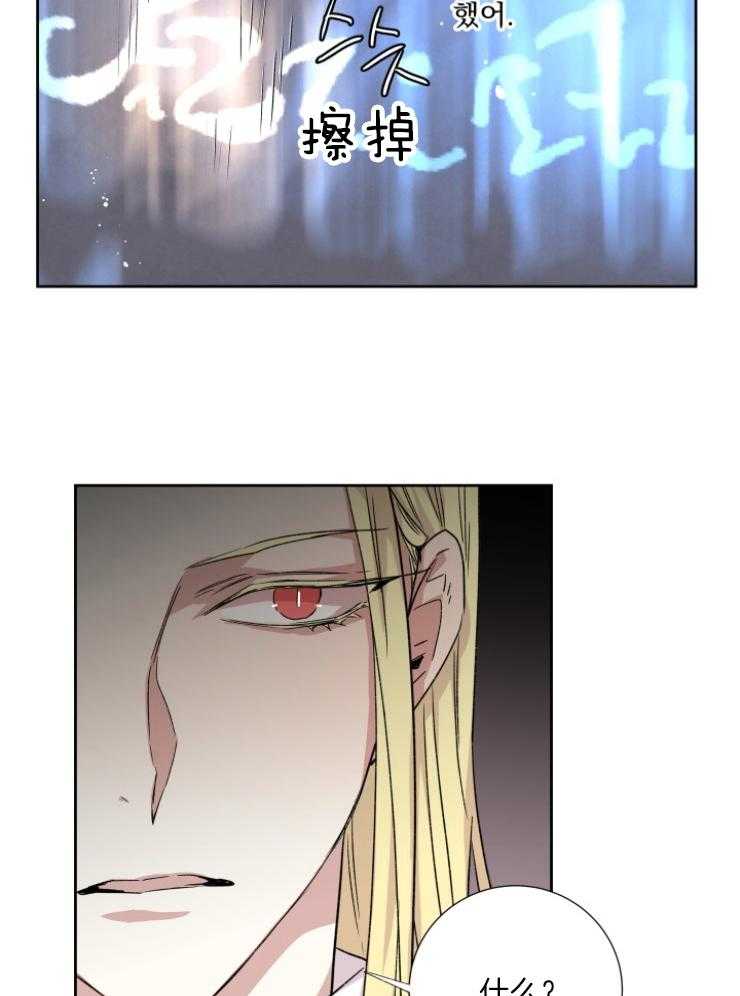 《巫师与狼（全集）》漫画最新章节第117话_你被骗了免费下拉式在线观看章节第【27】张图片