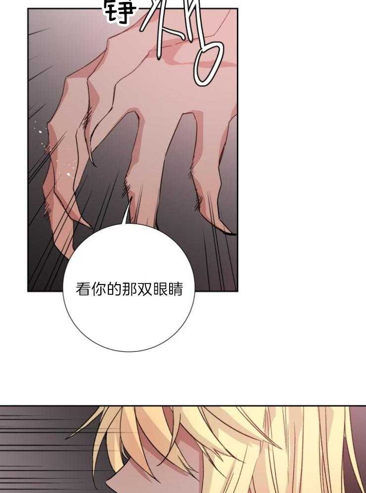 《巫师与狼（全集）》漫画最新章节第117话_你被骗了免费下拉式在线观看章节第【10】张图片