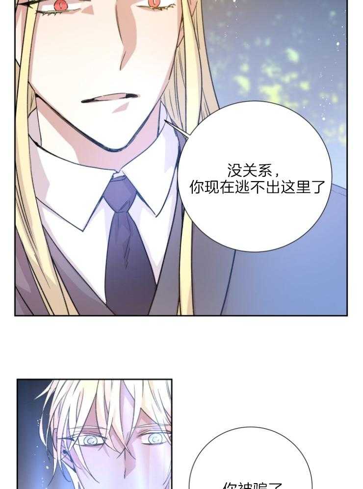 《巫师与狼（全集）》漫画最新章节第117话_你被骗了免费下拉式在线观看章节第【29】张图片