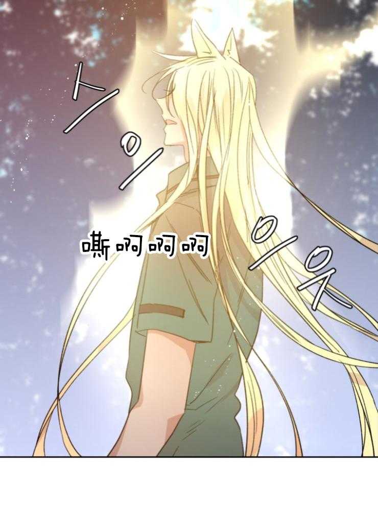 《巫师与狼（全集）》漫画最新章节第117话_你被骗了免费下拉式在线观看章节第【18】张图片