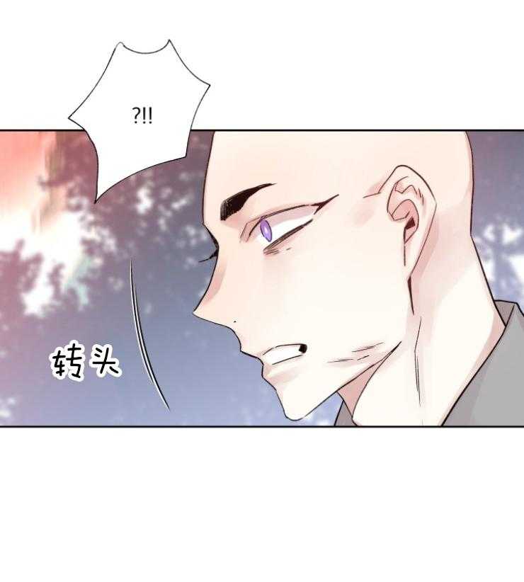 《巫师与狼（全集）》漫画最新章节第118话_傀儡免费下拉式在线观看章节第【4】张图片