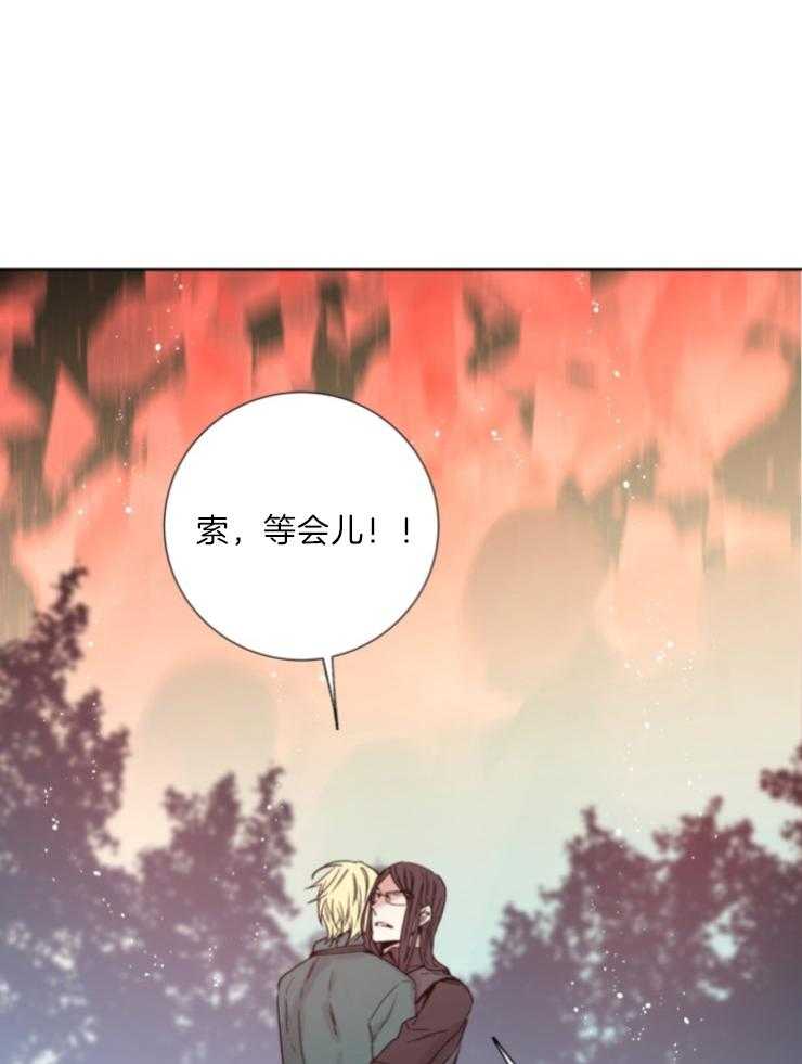 《巫师与狼（全集）》漫画最新章节第119话_关我屁事免费下拉式在线观看章节第【20】张图片