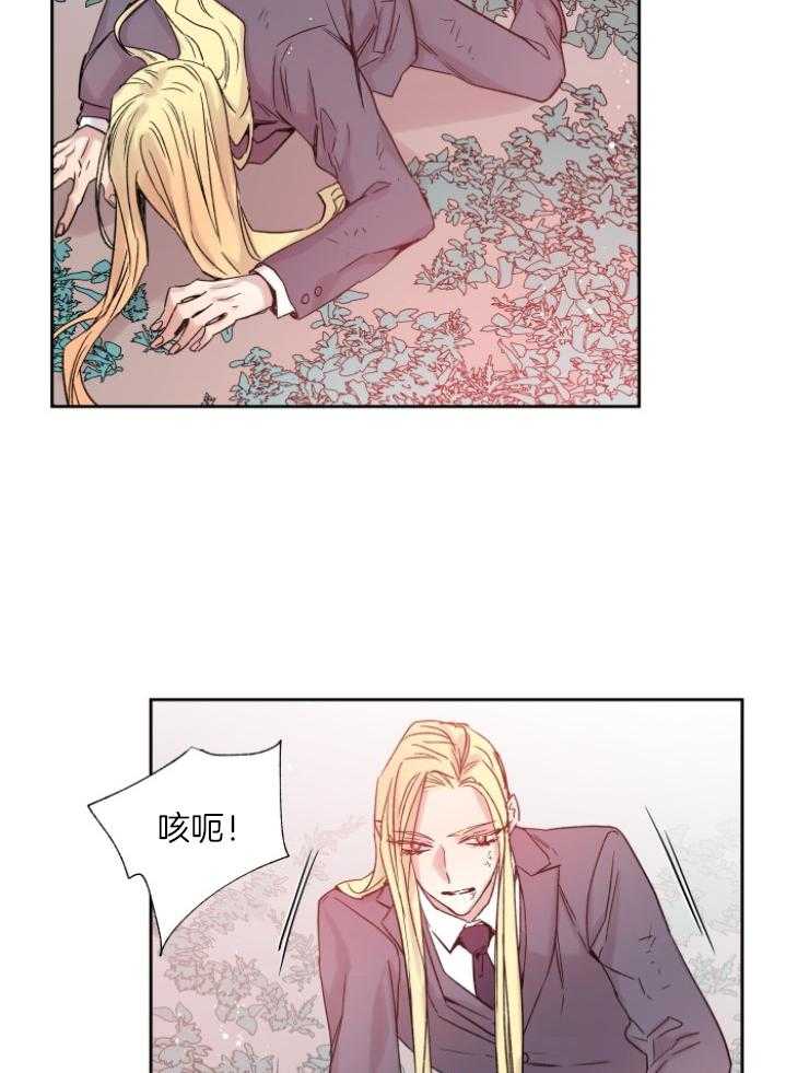 《巫师与狼（全集）》漫画最新章节第119话_关我屁事免费下拉式在线观看章节第【31】张图片