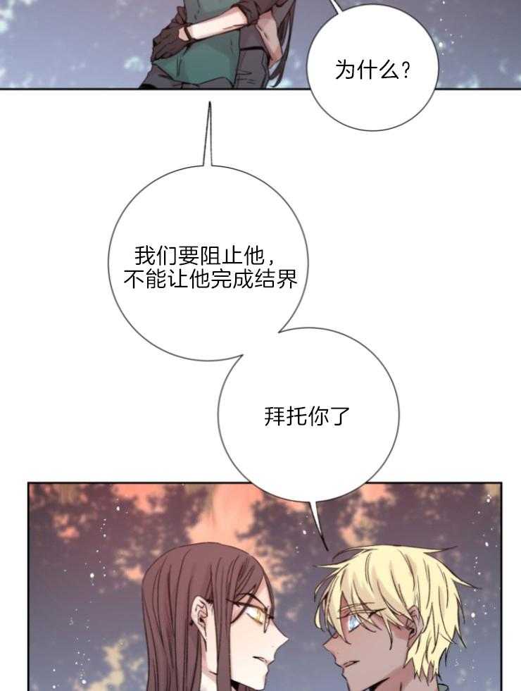 《巫师与狼（全集）》漫画最新章节第119话_关我屁事免费下拉式在线观看章节第【19】张图片