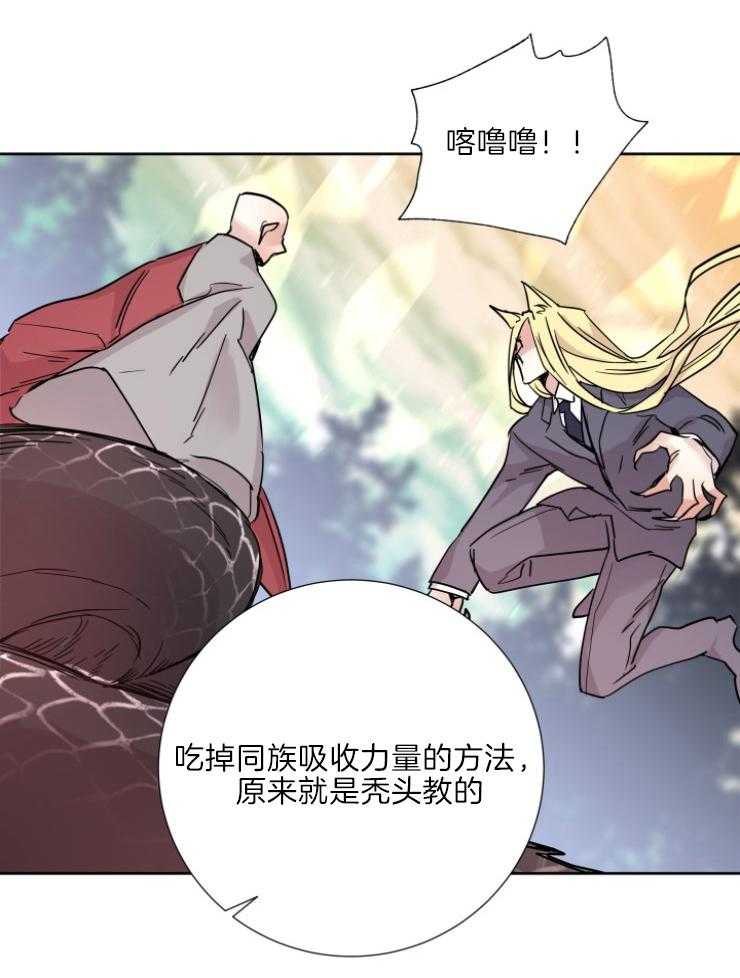 《巫师与狼（全集）》漫画最新章节第121话_从未后悔免费下拉式在线观看章节第【24】张图片