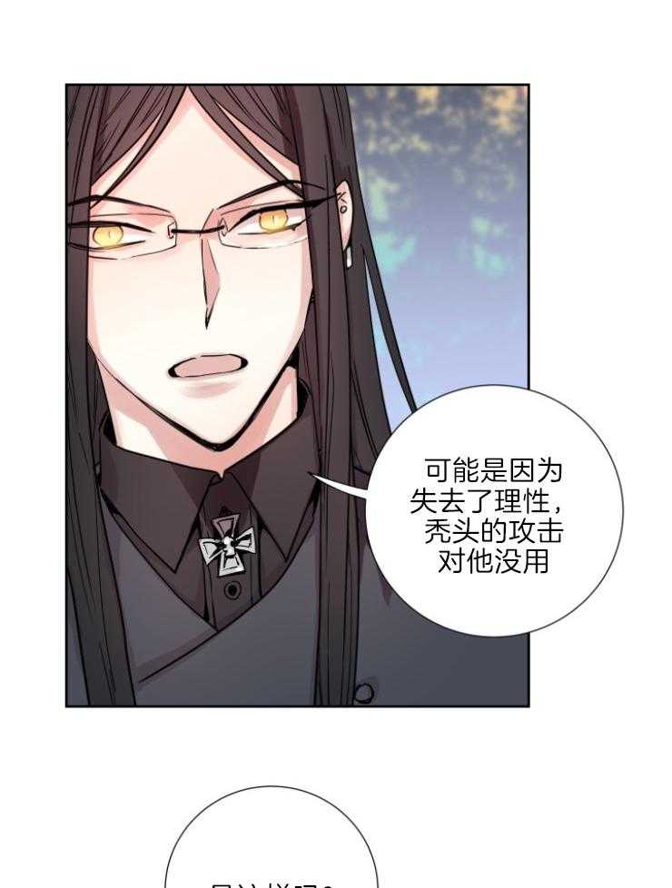 《巫师与狼（全集）》漫画最新章节第121话_从未后悔免费下拉式在线观看章节第【21】张图片