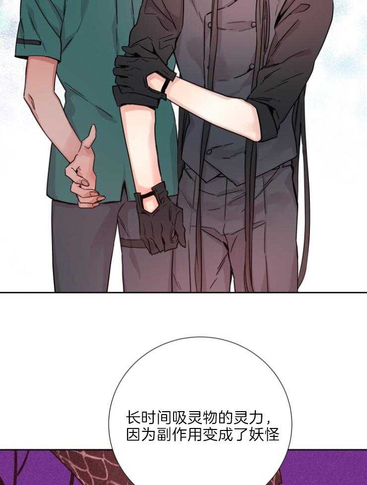 《巫师与狼（全集）》漫画最新章节第121话_从未后悔免费下拉式在线观看章节第【26】张图片