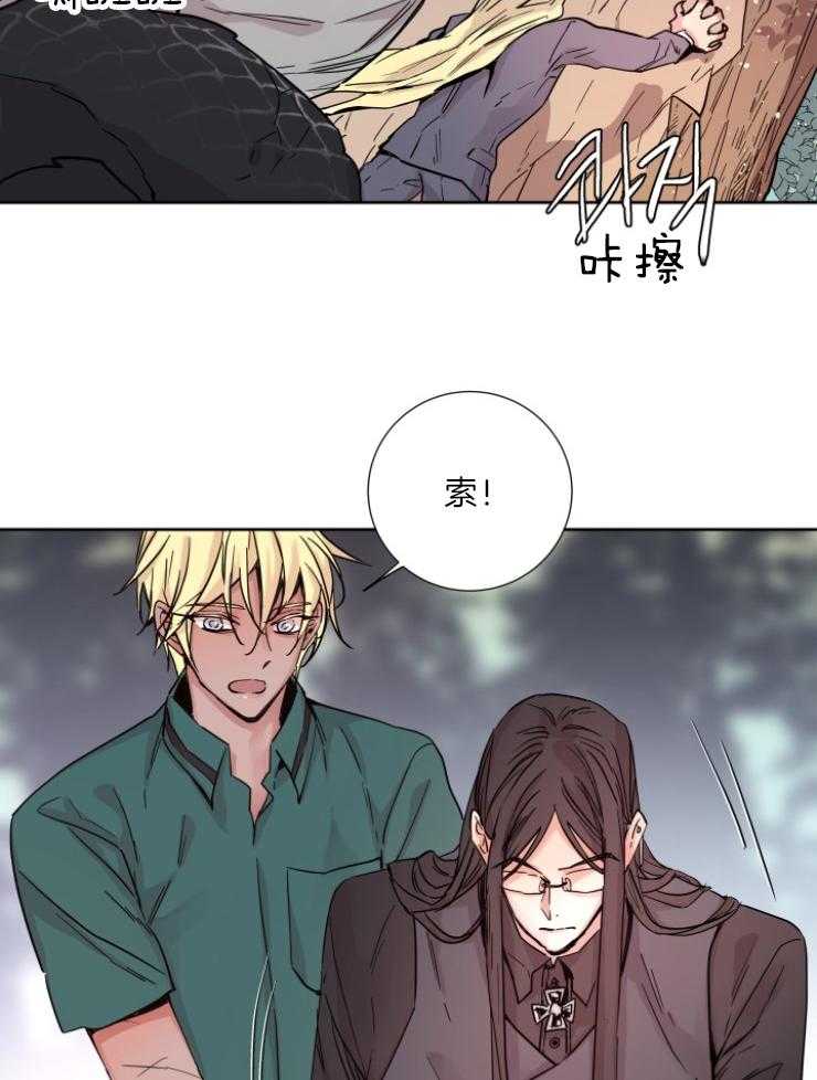 《巫师与狼（全集）》漫画最新章节第121话_从未后悔免费下拉式在线观看章节第【29】张图片