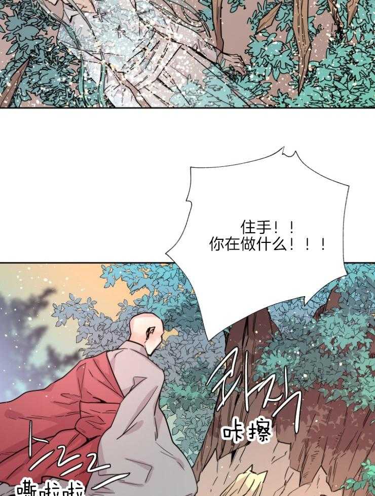 《巫师与狼（全集）》漫画最新章节第121话_从未后悔免费下拉式在线观看章节第【30】张图片