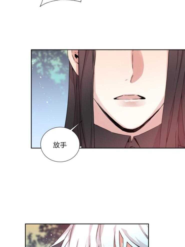 《巫师与狼（全集）》漫画最新章节第122话_选择免费下拉式在线观看章节第【19】张图片