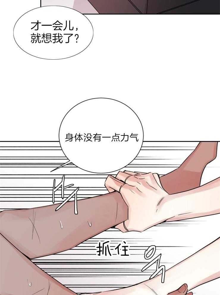 《巫师与狼（全集）》漫画最新章节第123话_我们回家免费下拉式在线观看章节第【6】张图片