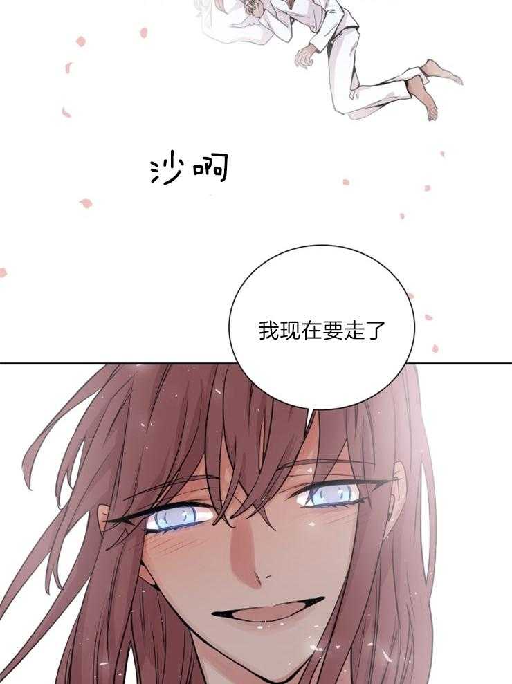 《巫师与狼（全集）》漫画最新章节第123话_我们回家免费下拉式在线观看章节第【13】张图片