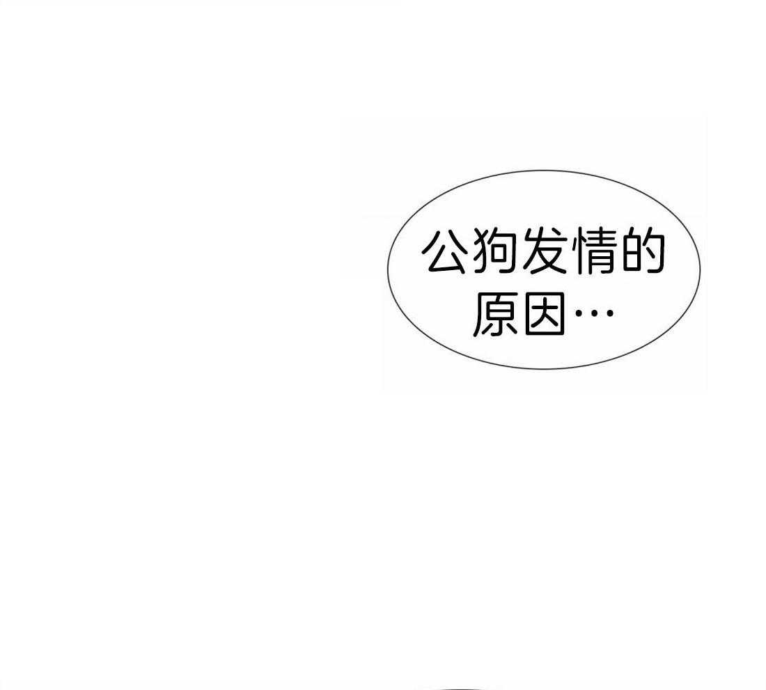 《狂热幻想》漫画最新章节第94话_这种想法很低级免费下拉式在线观看章节第【11】张图片