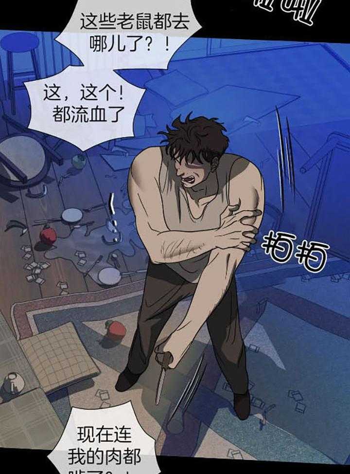 《封锁界限》漫画最新章节第75话_牺牲品免费下拉式在线观看章节第【17】张图片