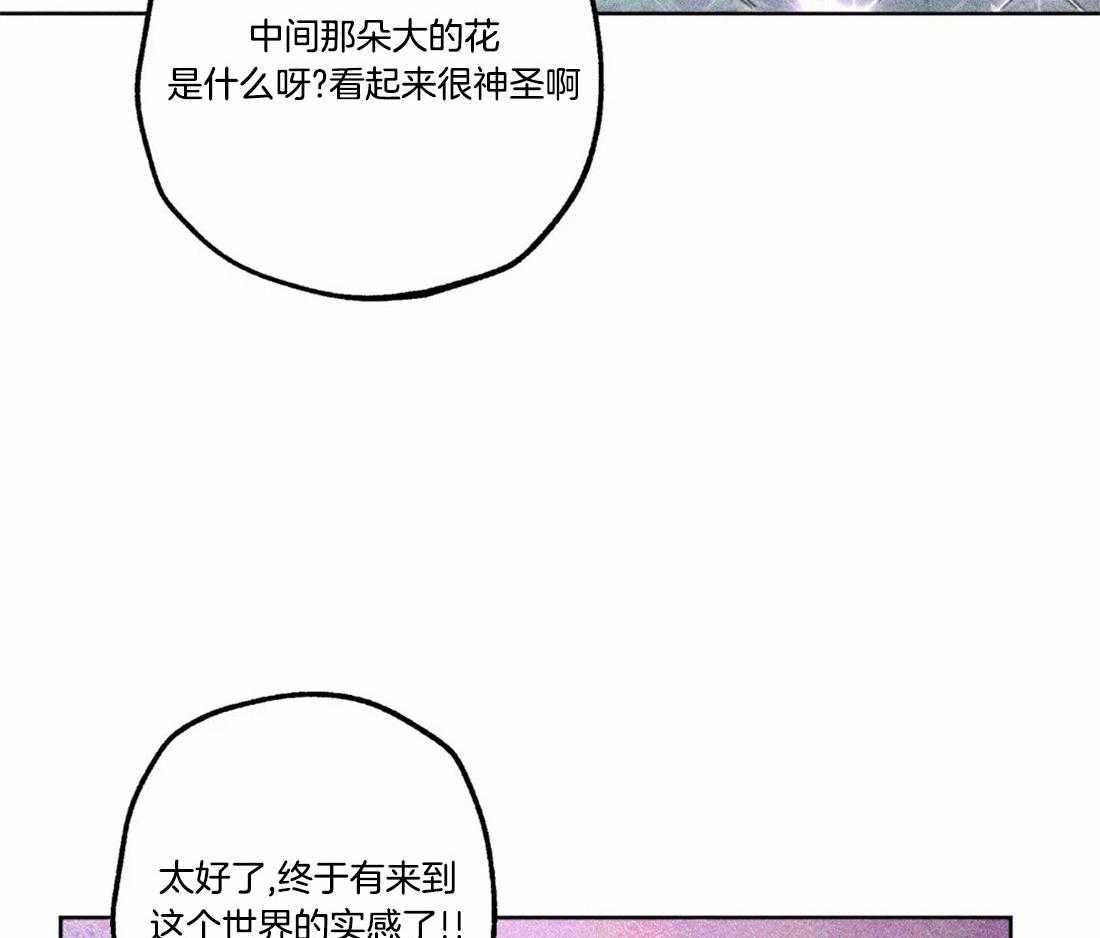 《被迫穿成异世神》漫画最新章节第81话_神秘的花免费下拉式在线观看章节第【29】张图片