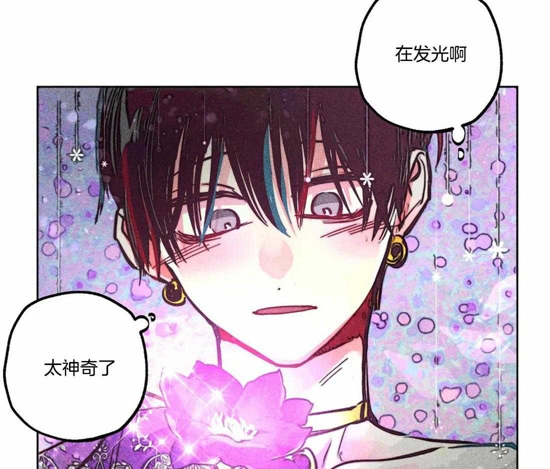 《被迫穿成异世神》漫画最新章节第81话_神秘的花免费下拉式在线观看章节第【32】张图片