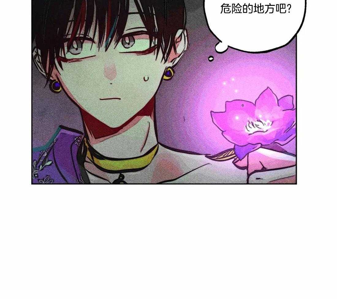 《被迫穿成异世神》漫画最新章节第81话_神秘的花免费下拉式在线观看章节第【16】张图片