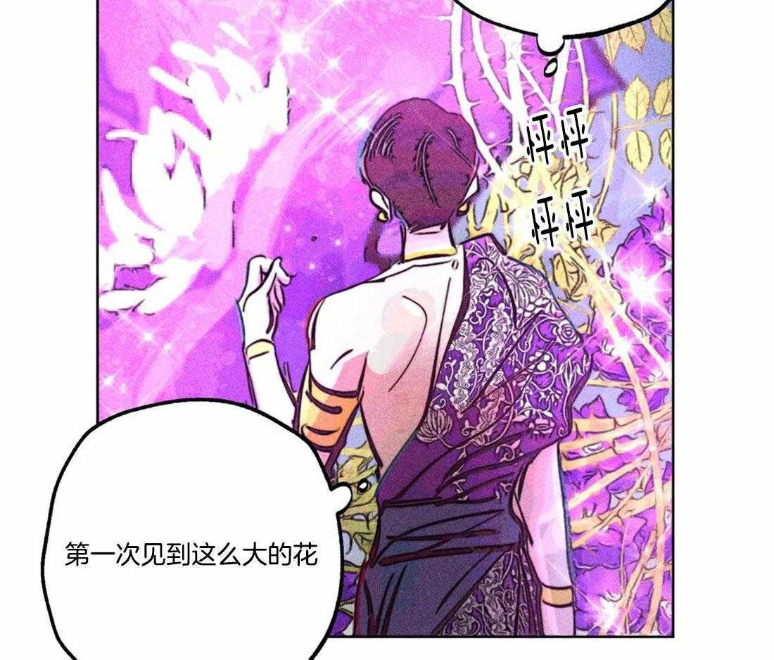 《被迫穿成异世神》漫画最新章节第81话_神秘的花免费下拉式在线观看章节第【26】张图片