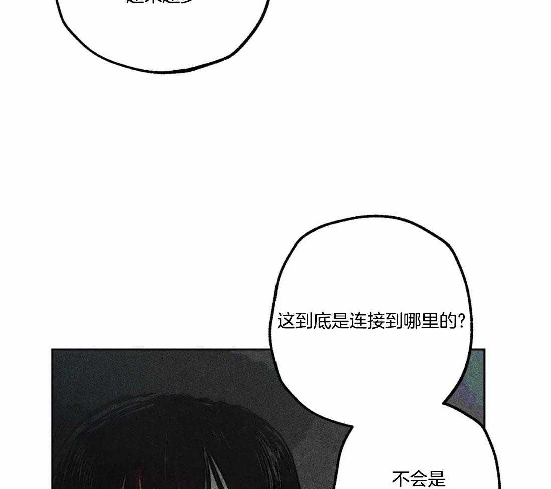 《被迫穿成异世神》漫画最新章节第81话_神秘的花免费下拉式在线观看章节第【17】张图片