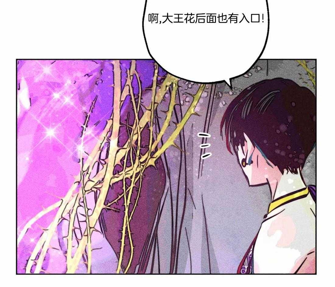 《被迫穿成异世神》漫画最新章节第81话_神秘的花免费下拉式在线观看章节第【23】张图片