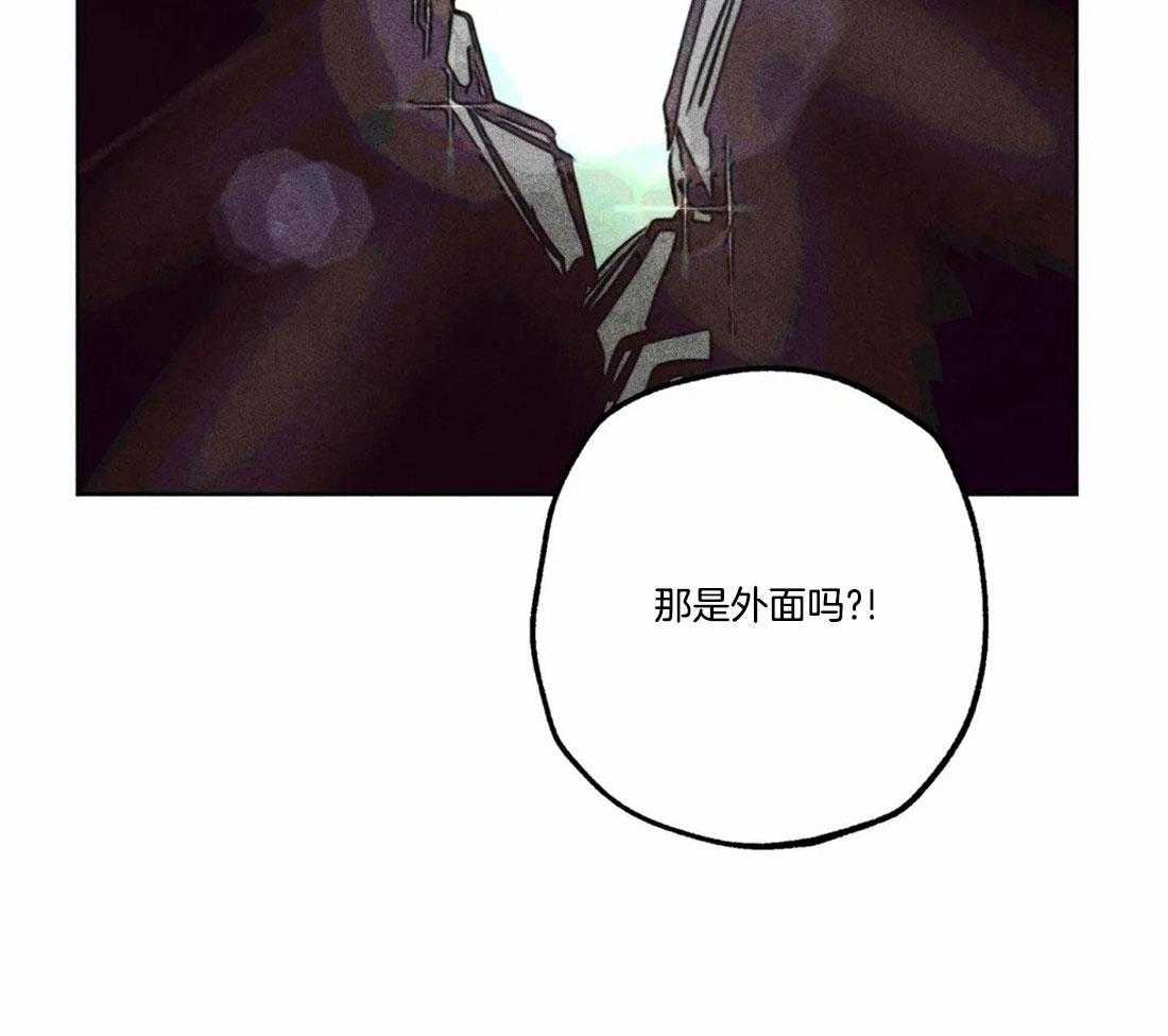 《被迫穿成异世神》漫画最新章节第81话_神秘的花免费下拉式在线观看章节第【13】张图片