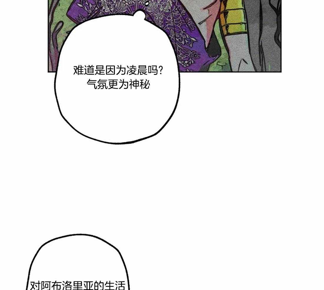 《被迫穿成异世神》漫画最新章节第80话_庭院探险免费下拉式在线观看章节第【21】张图片