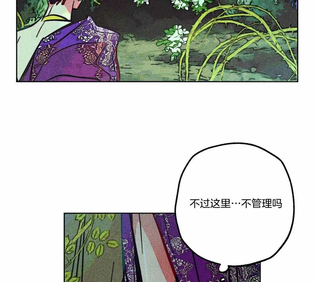 《被迫穿成异世神》漫画最新章节第80话_庭院探险免费下拉式在线观看章节第【14】张图片