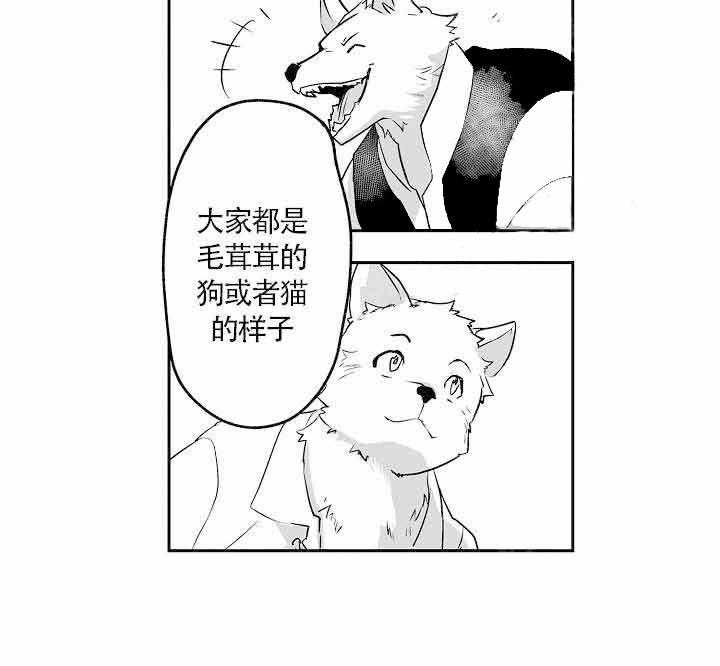 《巨人族的新娘》漫画最新章节第13话_中毒症状免费下拉式在线观看章节第【11】张图片