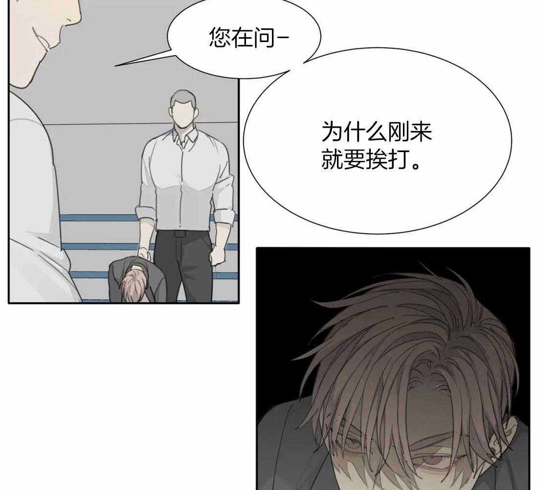 《疯狂的毒》漫画最新章节第41话_有效方法免费下拉式在线观看章节第【28】张图片