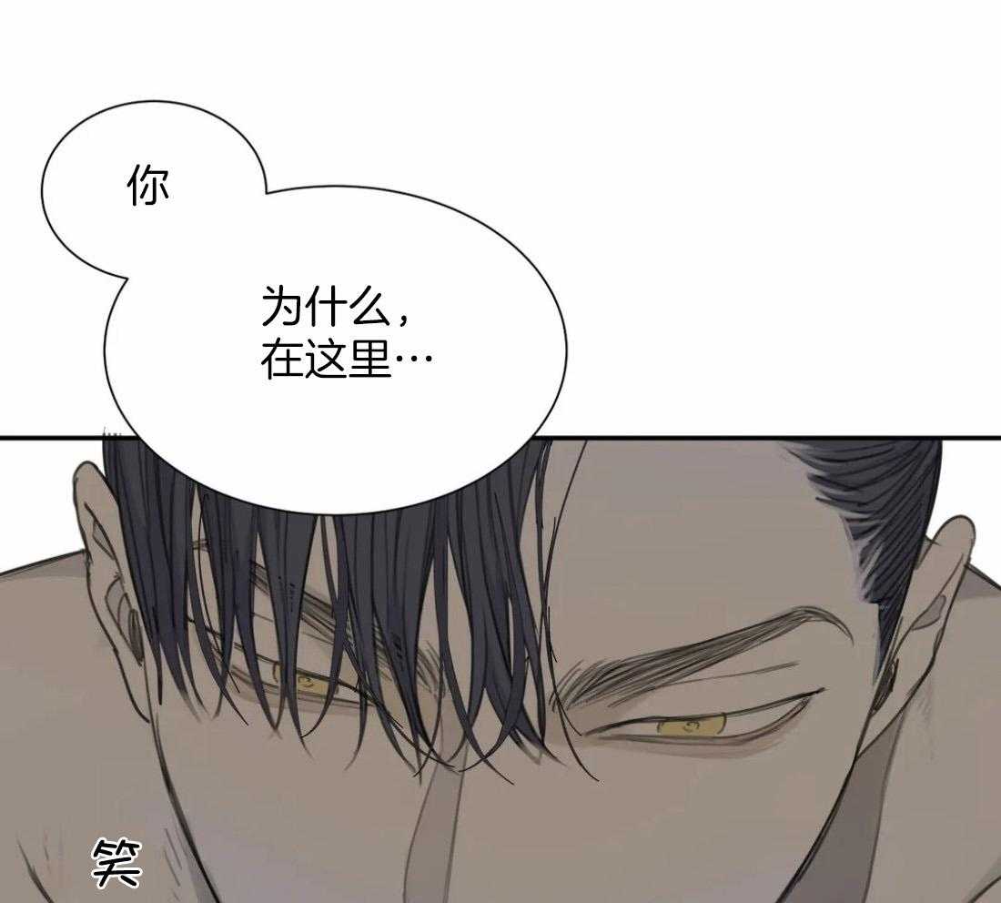 《疯狂的毒》漫画最新章节第54话_梦免费下拉式在线观看章节第【34】张图片