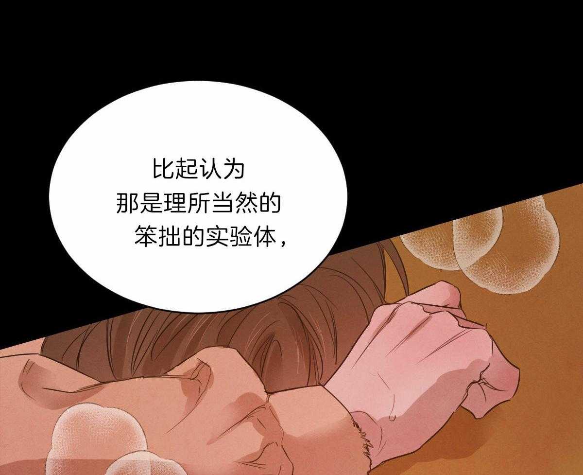 《皇家罗曼史（共3季）》漫画最新章节第85话_事实的推动免费下拉式在线观看章节第【11】张图片