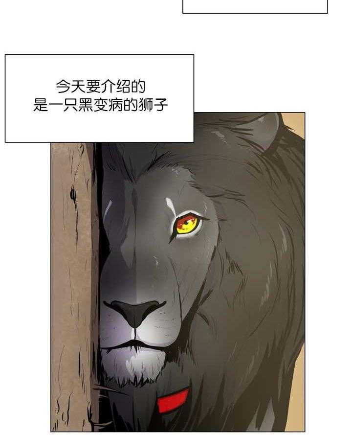 《旷野之息（共2季）》漫画最新章节第11话_狮子免费下拉式在线观看章节第【2】张图片